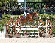 Testi Carry me on GioCav2013 S6 7375 : Campionati Italiani Giovani Cavalli, Carry me on, Cattolica, Testi Martina, ph Stefano Secchi ©